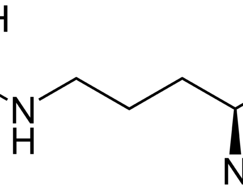 L-Carnitin 16 L-Arginin