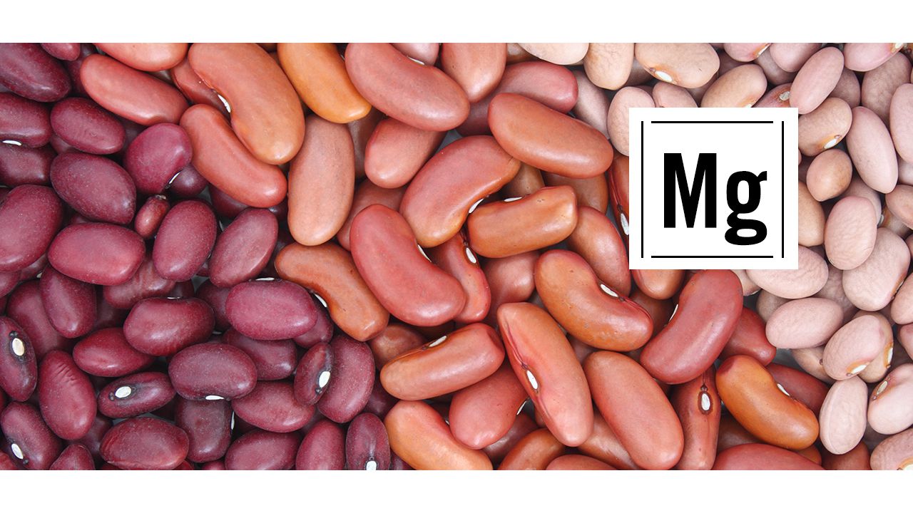 Magnesium | a mineral | eiweiss.com